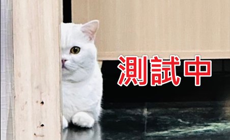 混種犬