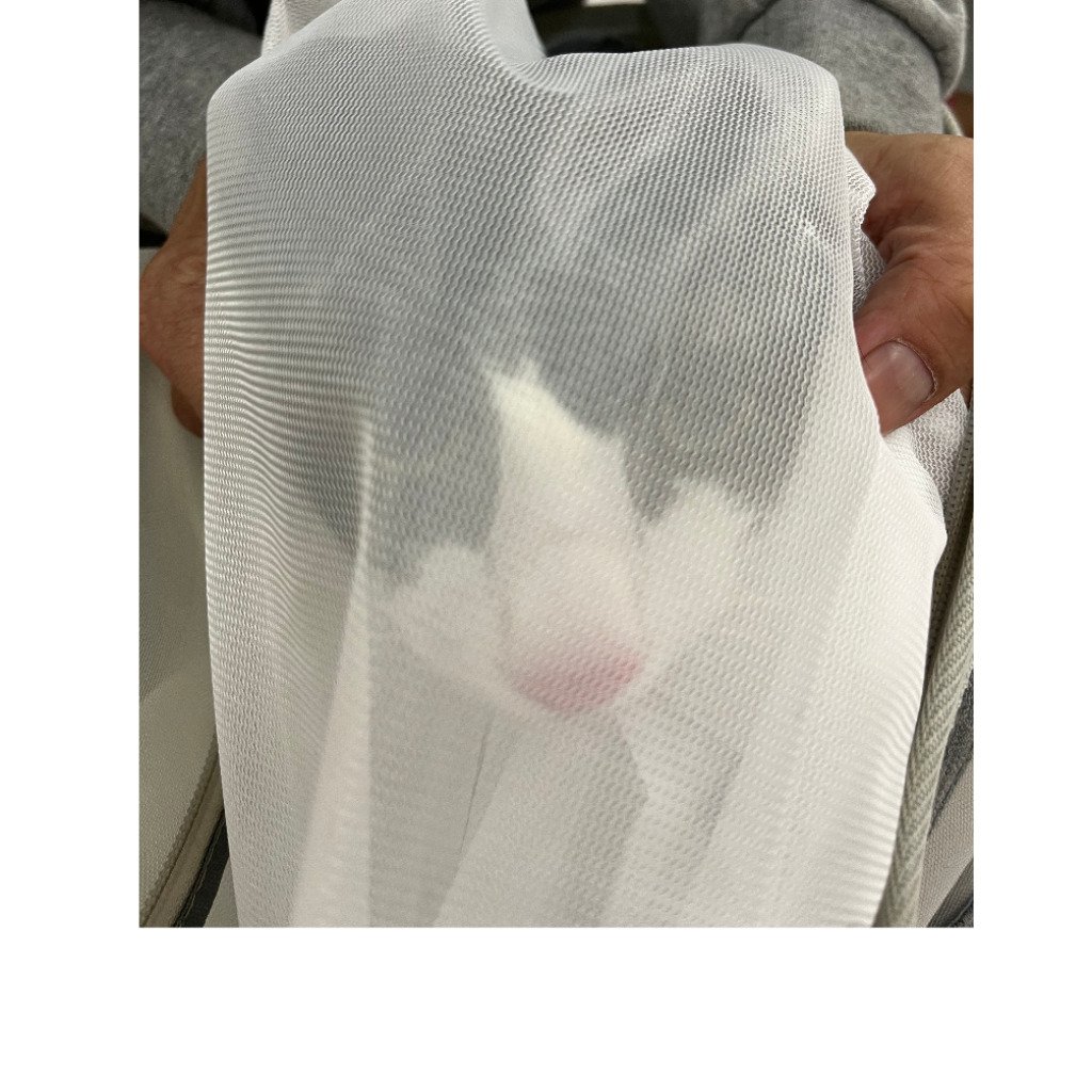 混種貓