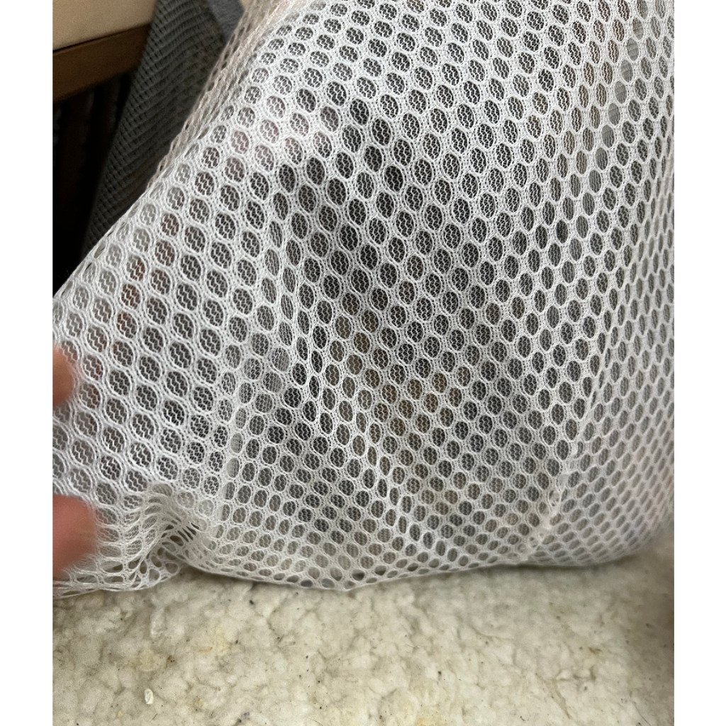 混種貓
