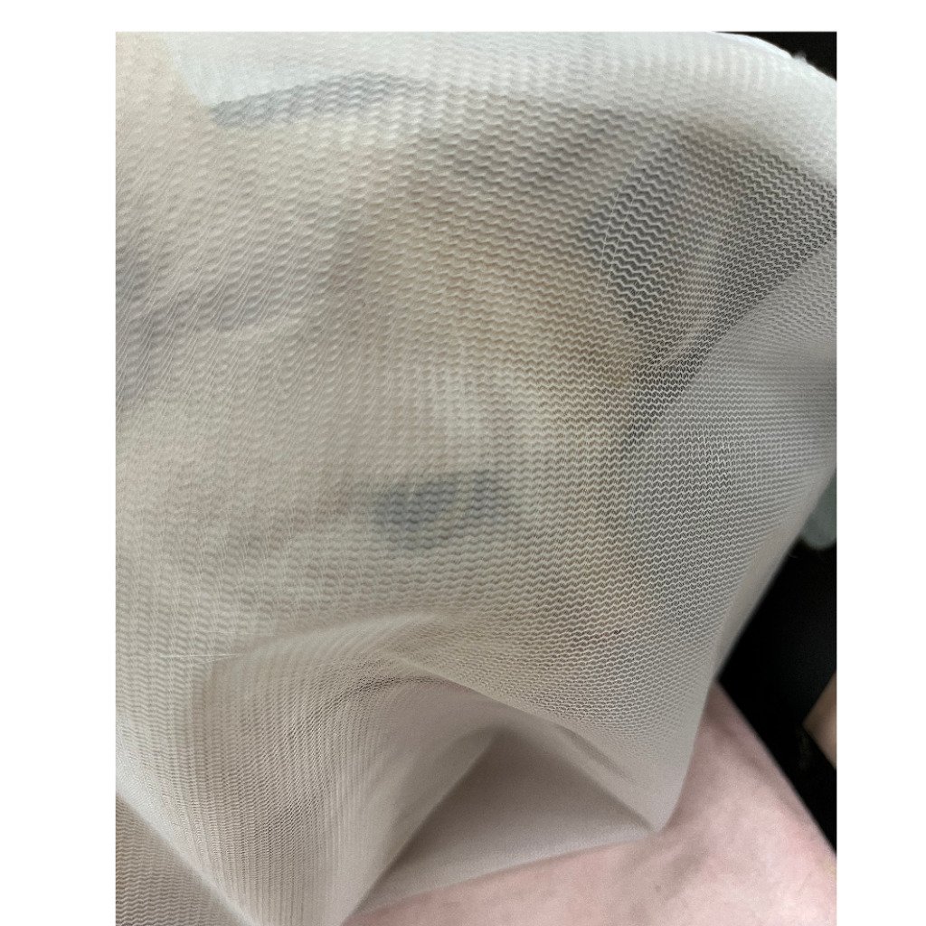 混種貓